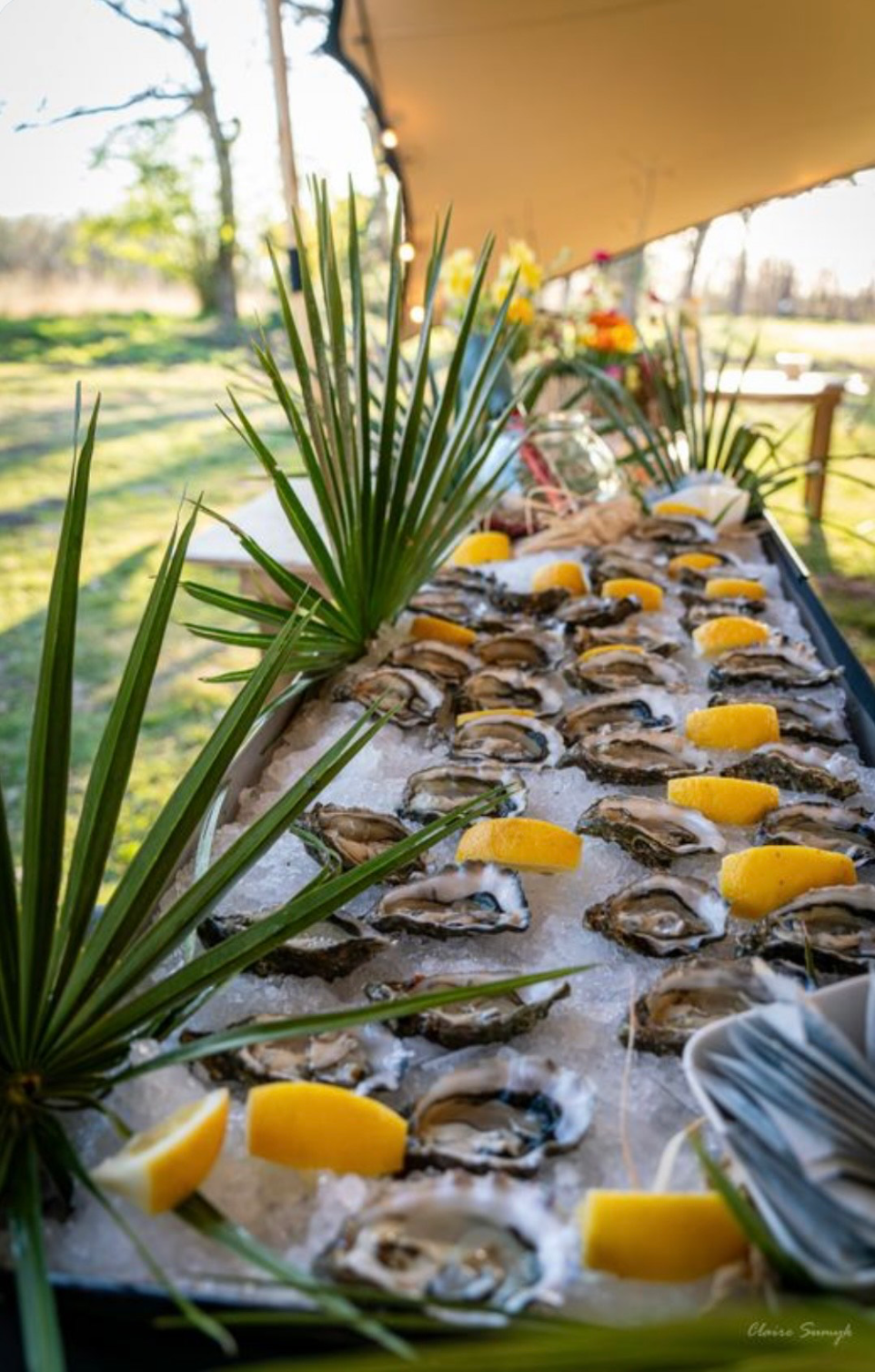 buffet-huitres-arcachon.jpgwidth="600" alt="400"="atelier dégustation arcachon"