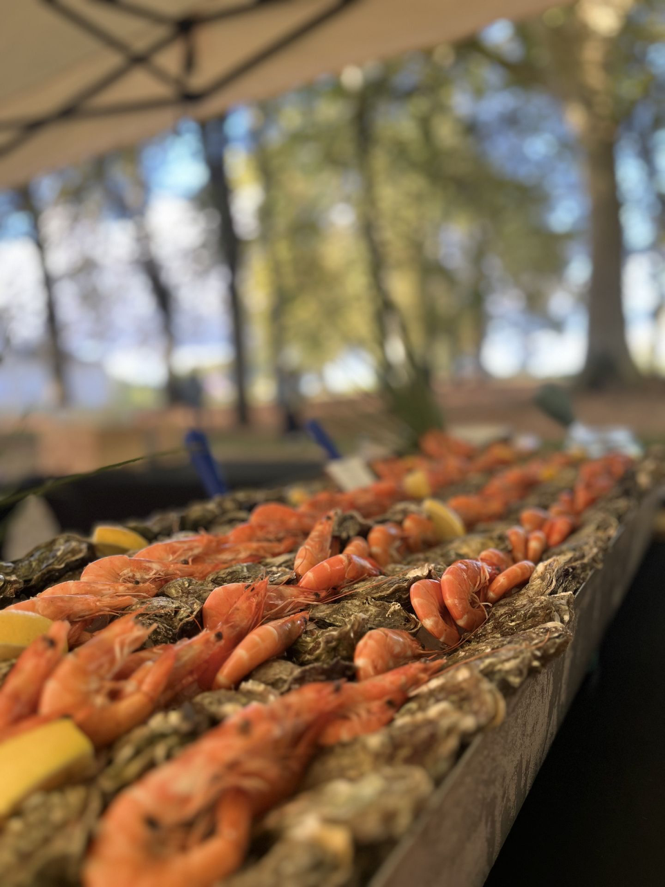 atelier-dégustation-arcachon.jpgwidth="600" alt="400"="atelier dégustation arcachon"