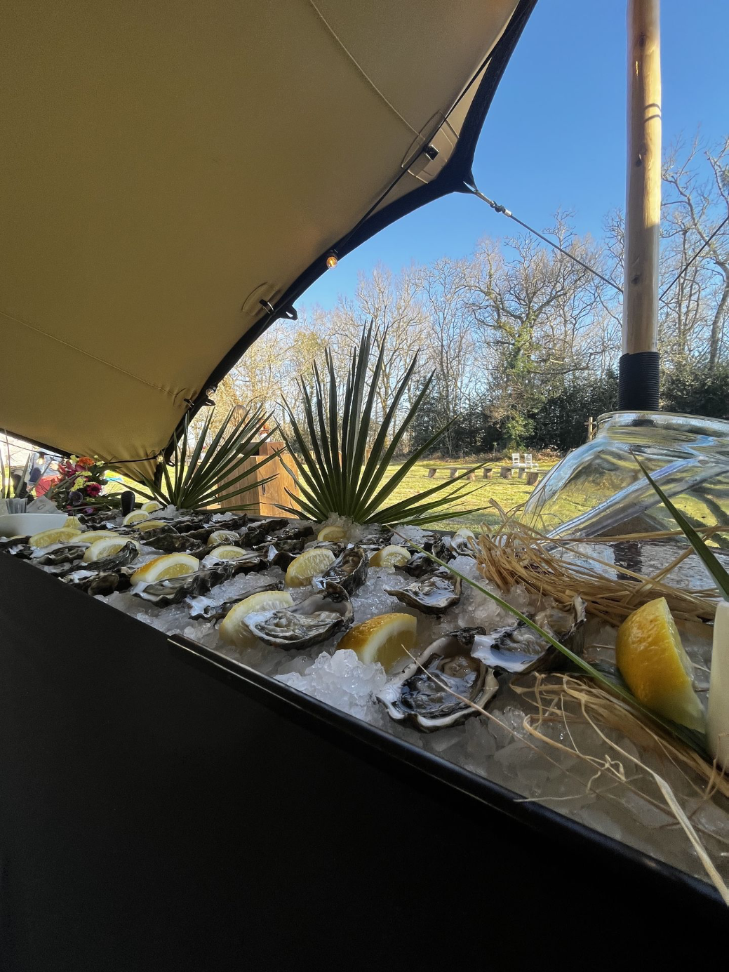 Huîtres Bassin d’Arcachon.jpg width="600" alt="400"="atelier dégustation arcachon"